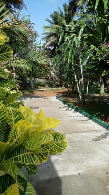 Sri Lanka Beach House Hotel Rathgama Dış mekan fotoğraf
